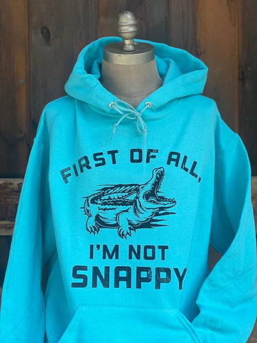 I'm not SNAPPY Hoodie- Turquoise